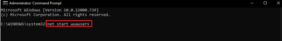 net start wuauserv command