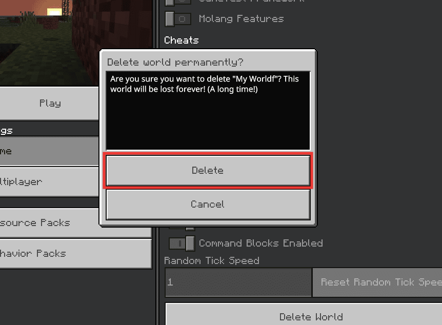 click on Delete. How Do You Fix Chunk Errors in Minecraft
