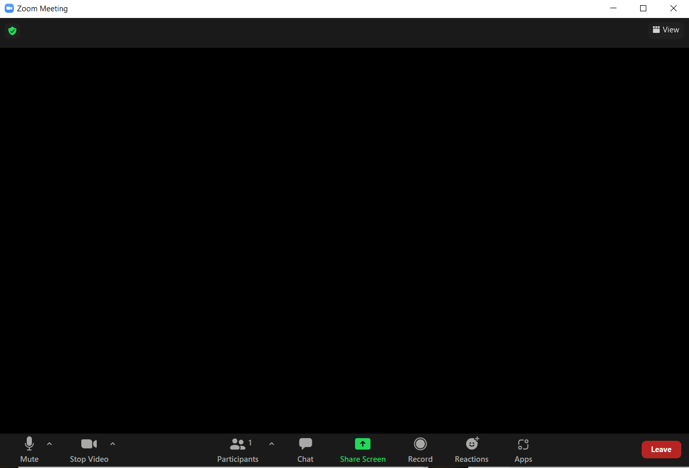 Zoom meeting window. Fix Zoom Filters Not Showing on PC