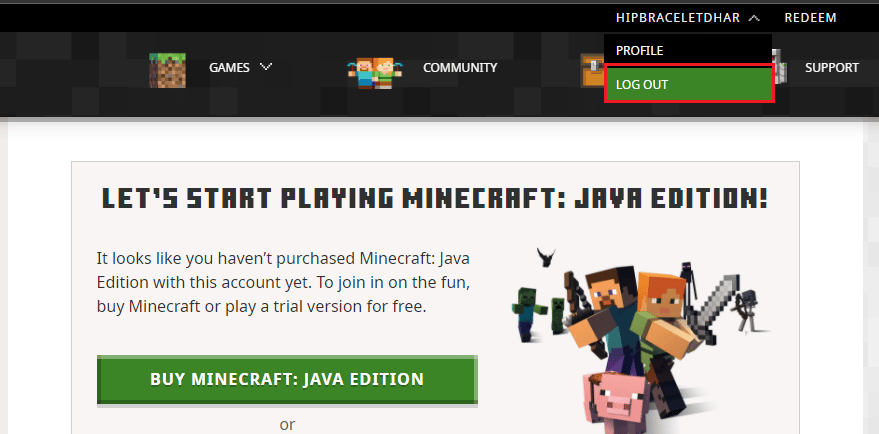 click on LOG OUT in your Minecraft account 