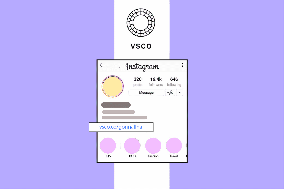 How to Put VSCO Link in Your Instagram Bio