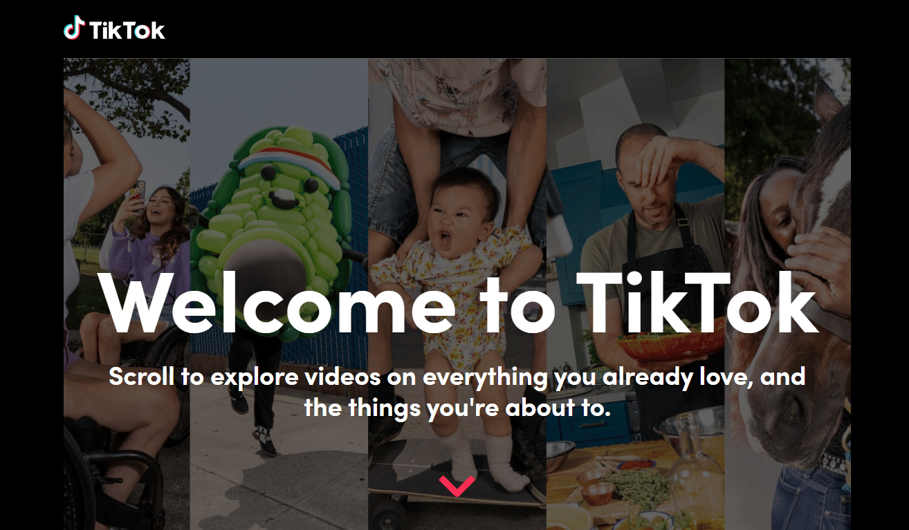 TikTok Browse page 