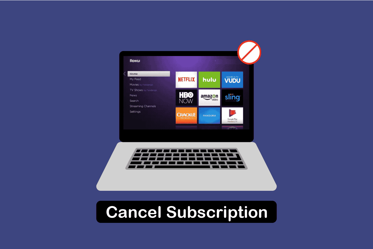 How to Cancel My Roku Account Subscriptions