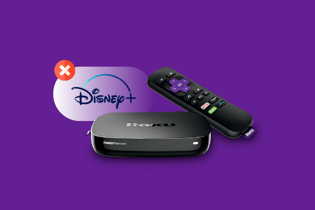 Fix Disney Plus Not Working on Roku
