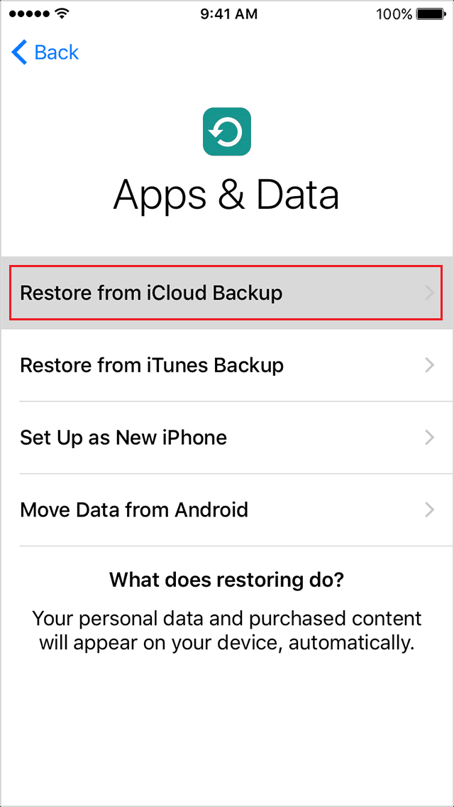 Tap on the Restore from iCloud Backup option and log in to your iCloud account | How to Restart without Resetting Clash of Clans