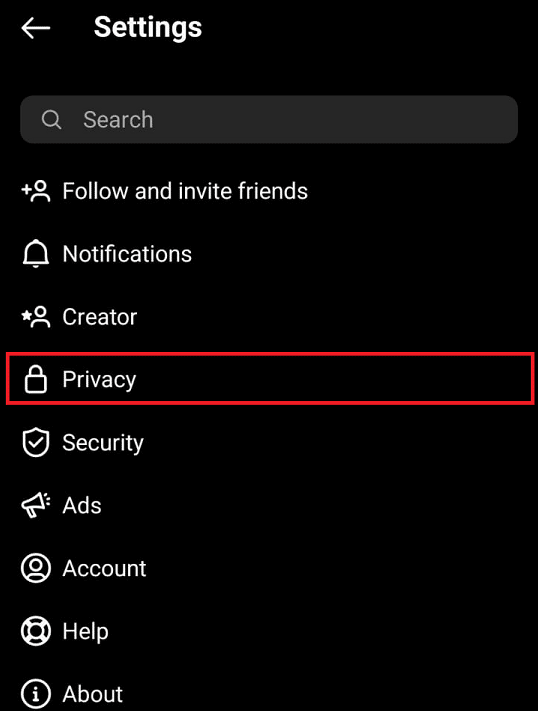 Tap on Privacy. | What Happens When You Deactivate Instagram?