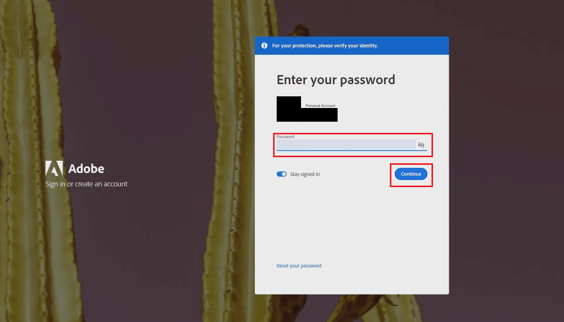 Введите свой пароль для учетной записи Adobe и нажмите «Продолжить».
