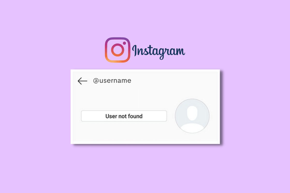 How to Fix User Not Found on Instagram