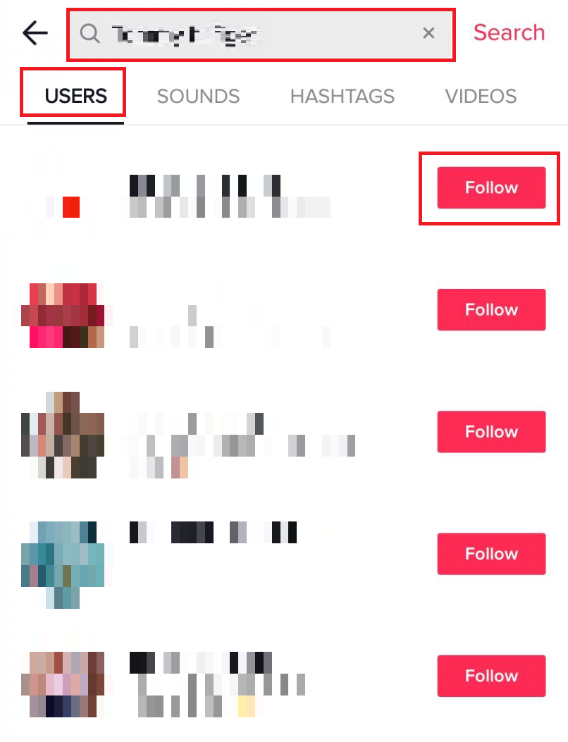TikTok Search - USERS section - Follow | How Many TikTok Accounts Can You Have?