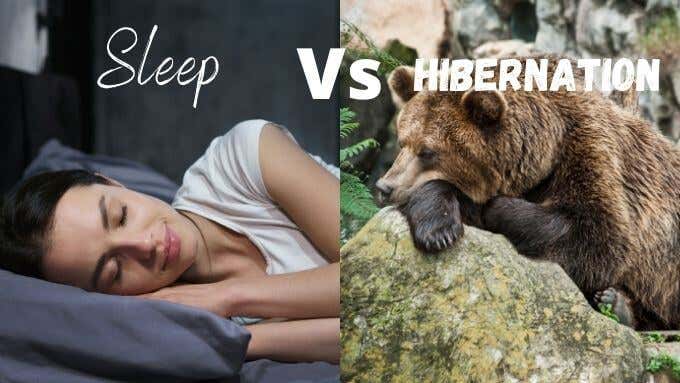 What Is the Difference Between Sleep and Hibernate in Windows 10?