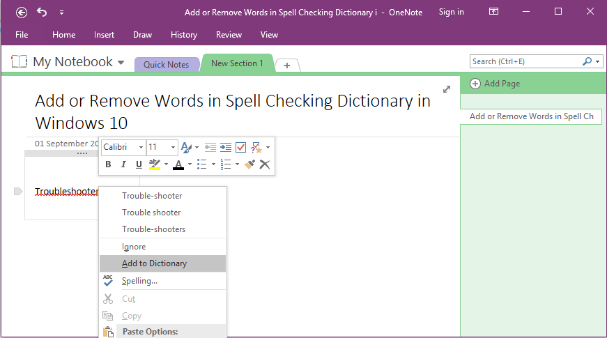 Add Highlighted Misspelled Words to Spell Checking Dictionary