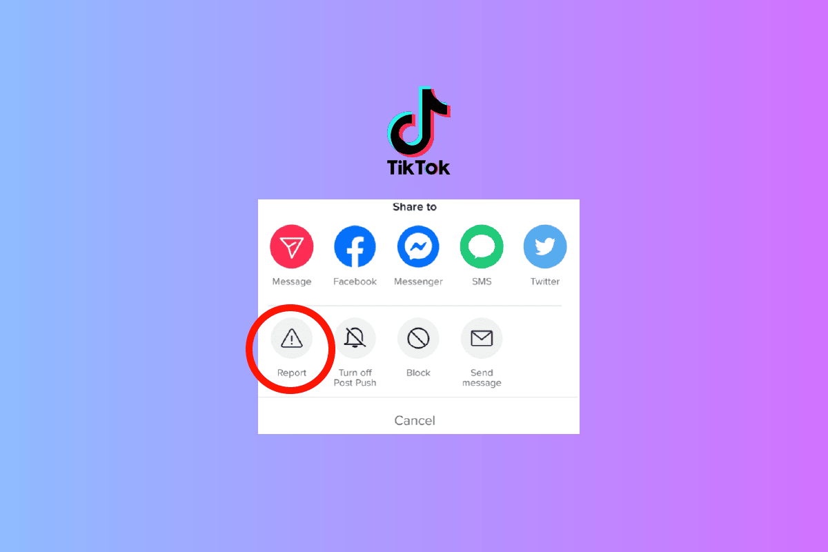 Can You See Who Reported You on TikTok?