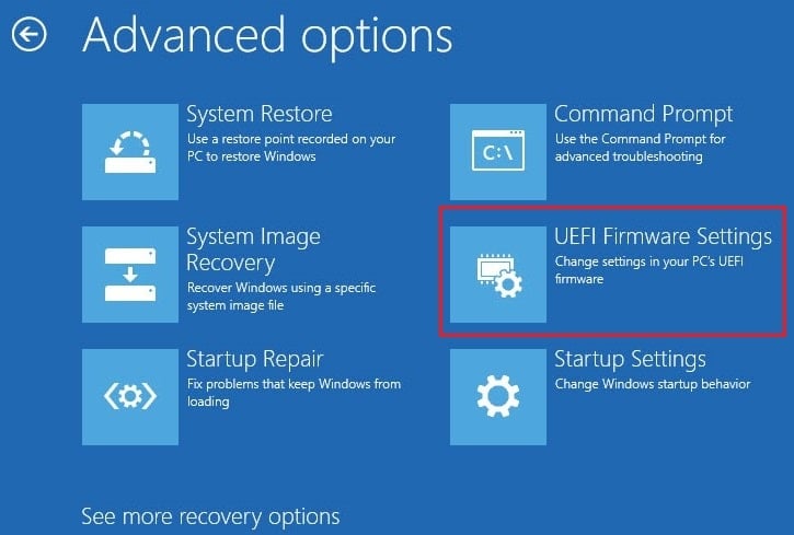 Choose UEFI Firmware Settings from the Advanced Options