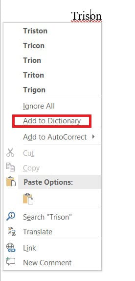 Click on Add to dictionary.