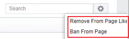 Click on Remove From Page Like or Ban From Page