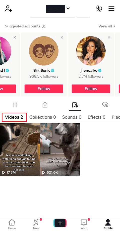 Click on the Videos tab to see your favorite TikTok videos