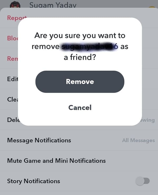 Tap Remove to confirm | How to Delete (or Block) Friends on Snapchat