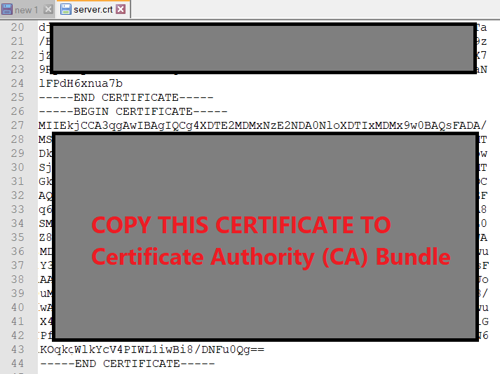 Copy the second part of the Certificate from the .crt file (Security Certificate)