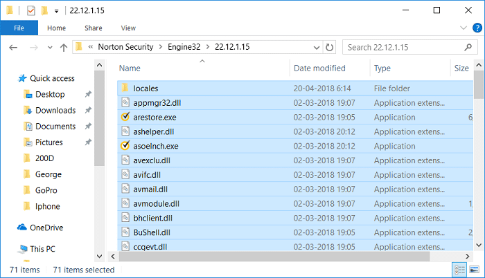 Delete left over Norton files and folders from Program Files