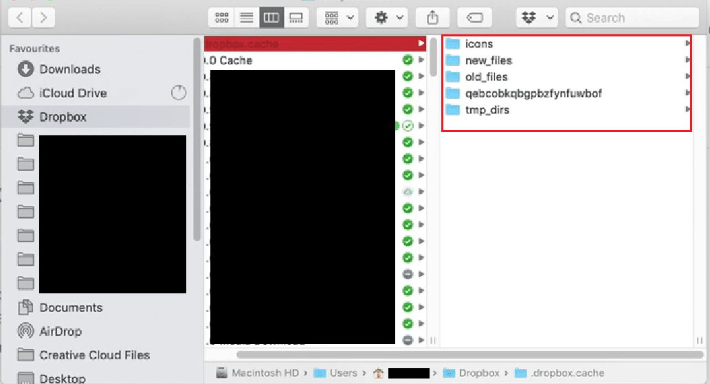 Dropbox cache files on Mac