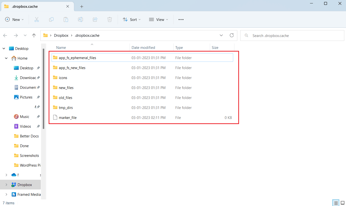 Dropbox cache folder with all the cache files present in there