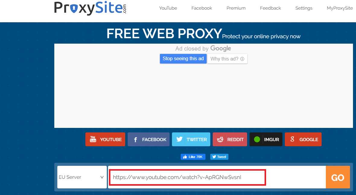Enter URL box on the proxy website which you have opened in the new tab