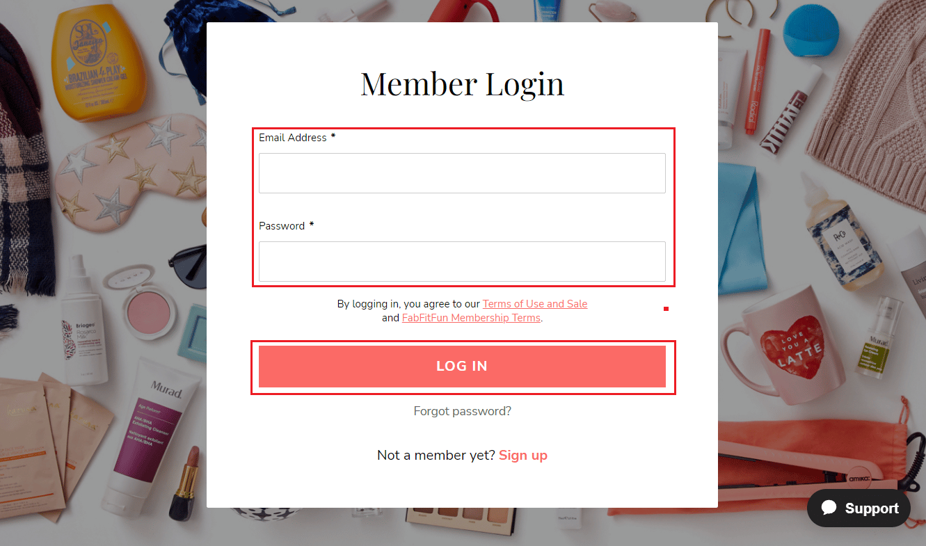 Inserite u vostru indirizzu email è password è cliccate nant'à LOG IN per entra in u vostru contu