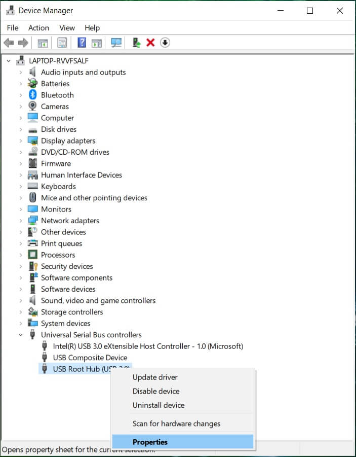 Expand Universal Serial Bus controllers in the Device Manager