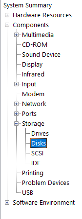 Expand ‘Storage’ and click on ‘Disks’