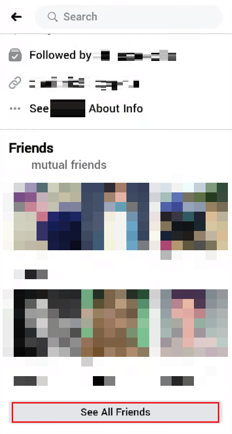 Facebook Friends list - See All Friends