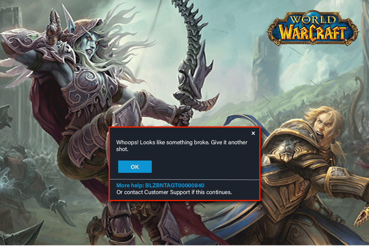 Исправить ошибку «Невозможно обновить World of Warcraft BLZBNTAGT00000840»