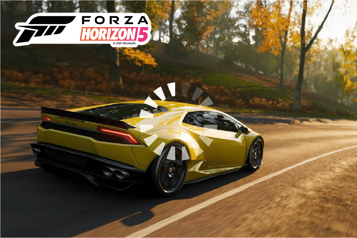 Fix Forza Horizon 5 Stuck on Loading Screen