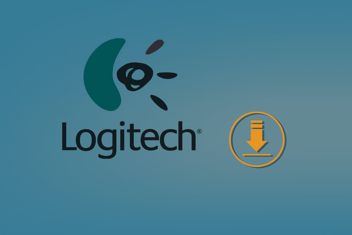 Los Logitech Download Assistant-opstartprobleem op