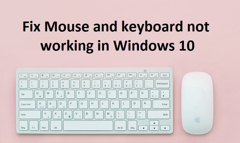 Mouse and Keyboard Not Working in Windows 10 [SOLVED]
