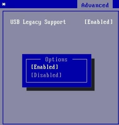 Go to USB Configuration and then Enable USB legacy support