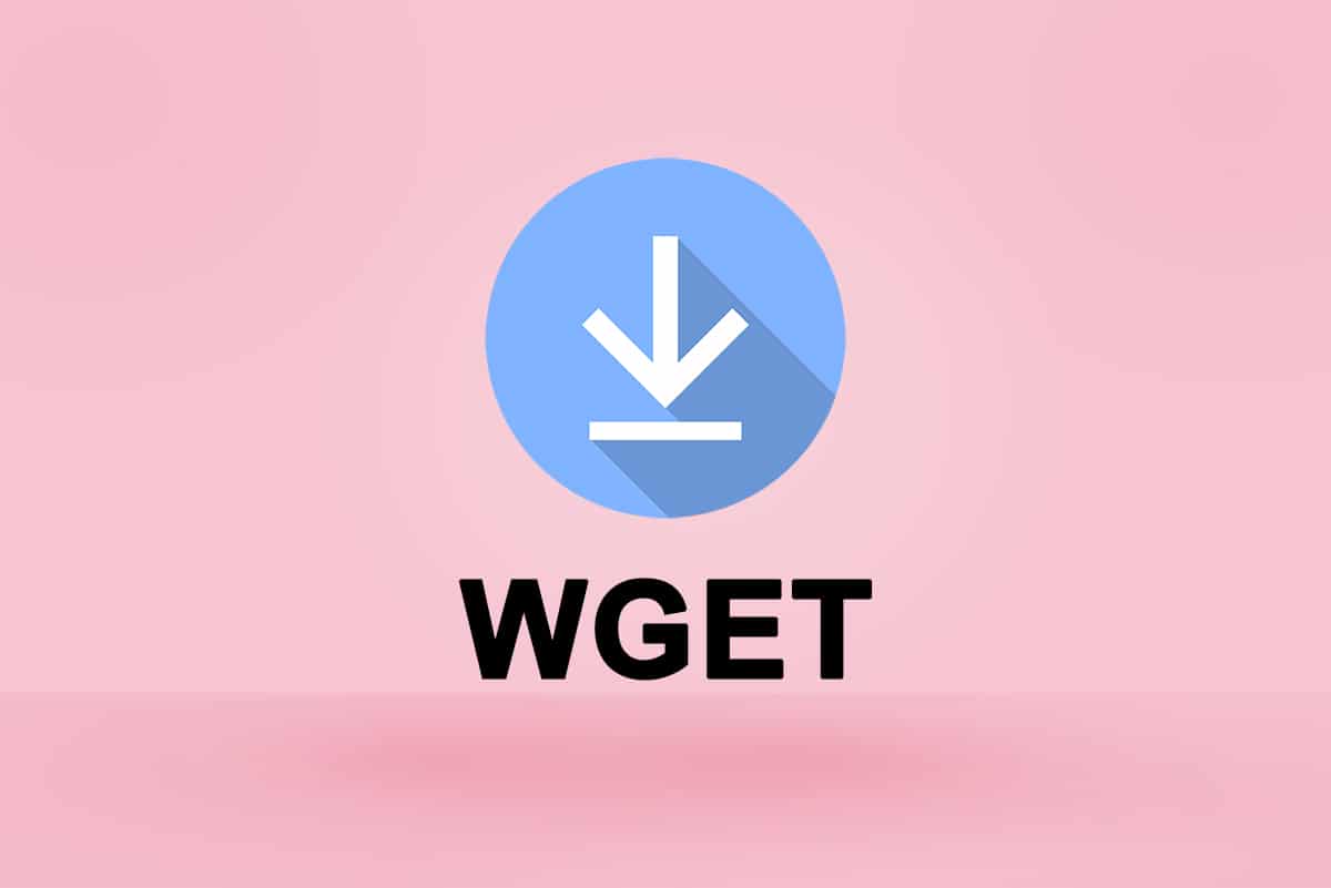 كيفية تنزيل وتثبيت واستخدام WGET لنظام التشغيل Windows 10