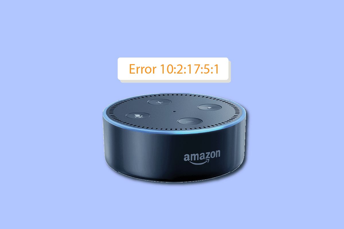 Fix Alexa Error 10 2 17 5 1 in Echo Dot