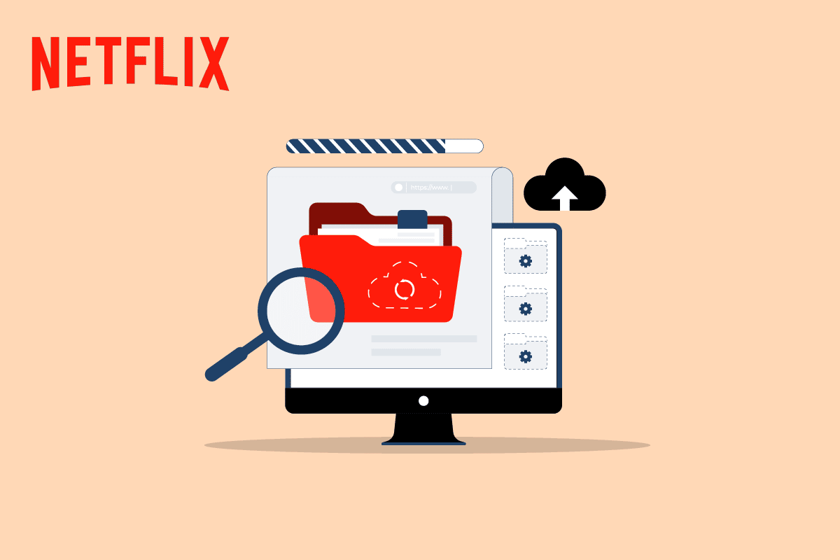 Fix Issues in Netflix Stored Data