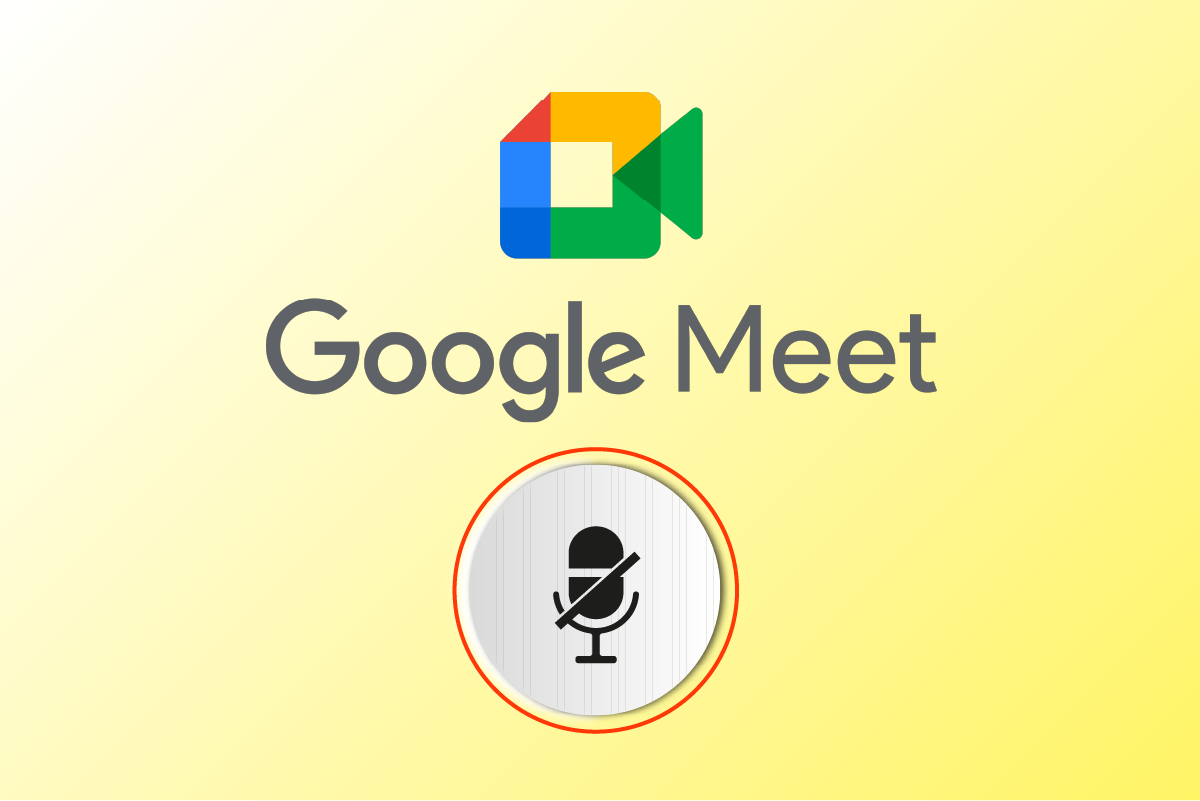 Fix Your Mic is Muted by System Settings in Google Meet