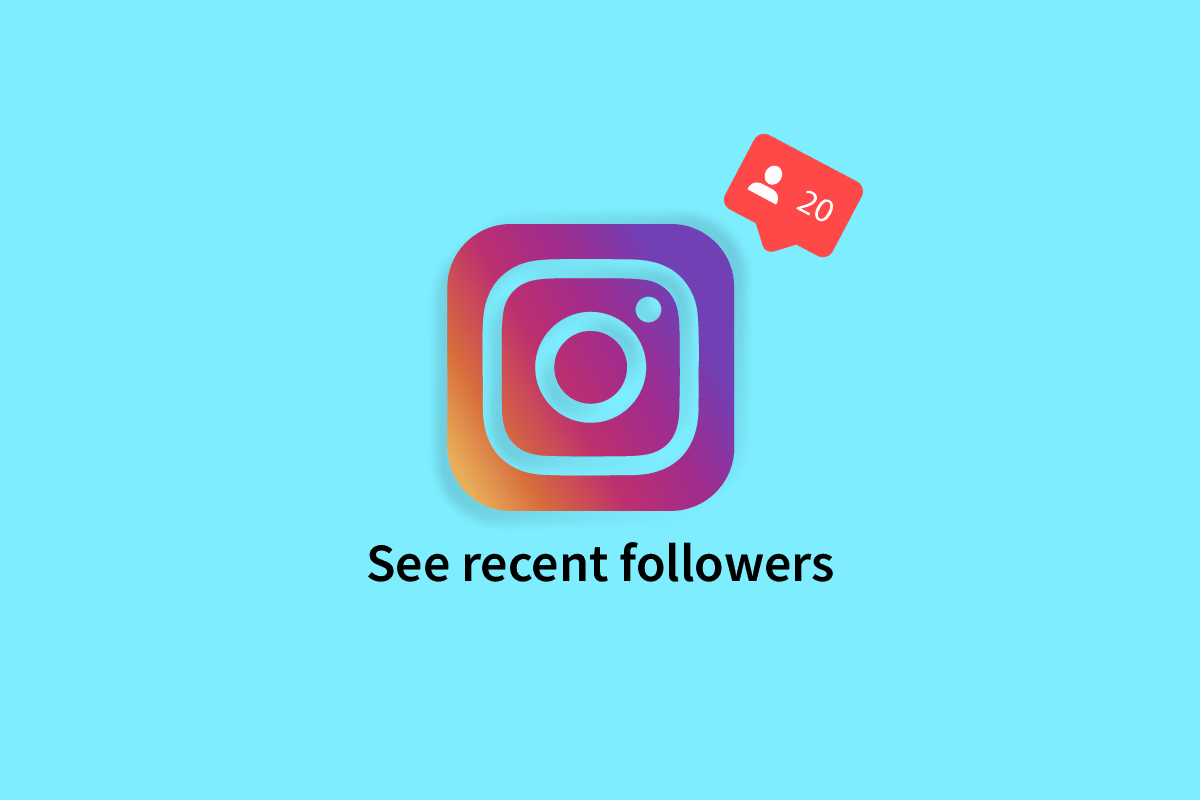 How to See Recent Followers on Instagram