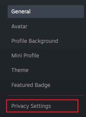 In the profile page, click on privacy settings | How to Hide Steam Activity from Friends