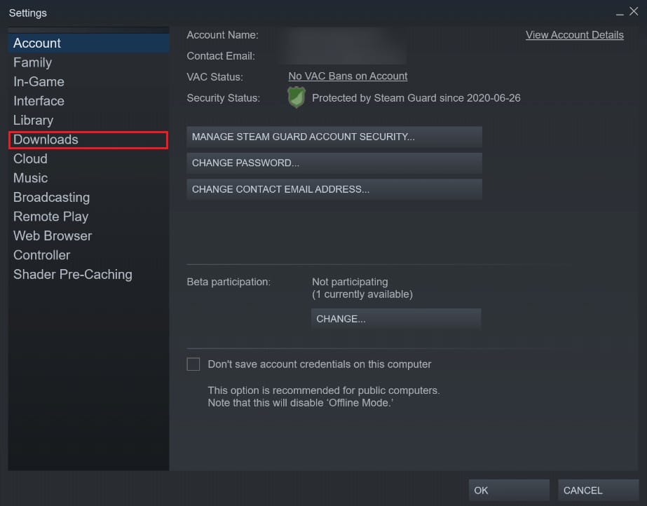 In the settings panel, click on downloads