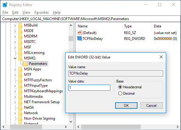 Bu DWORD-u “TCPNoDelay” adlandırın və onun dəyərini 1-ə təyin edin. | Yüksək Ping Windows 10-u düzəldin