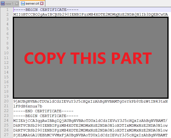 Open the .crt file (Security Certificate) and copy only the first part of this Certificate