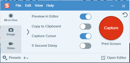Open the window that you want a screenshot of and launch Snagit