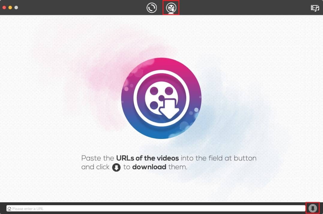 Paste the link and click on the download button | How to Download Video with Blob URL
