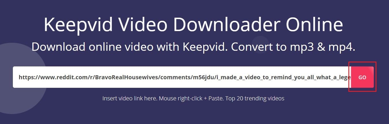 Paste the link in KEEPVid and click on Go