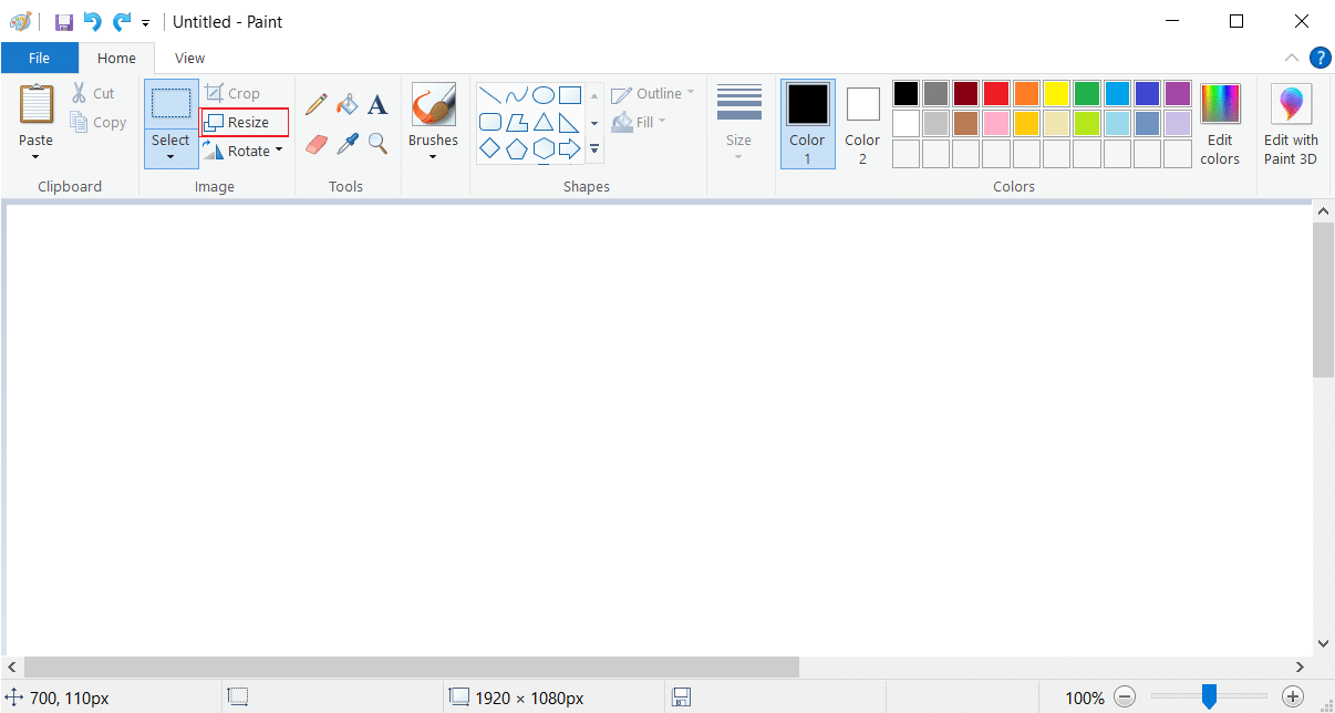 Resize option paint