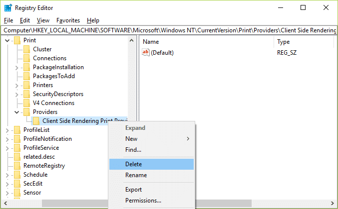Right-click on Client Side Rendering Print Provider and select Delete