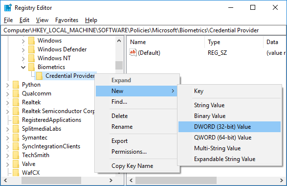 Right-click on Credential Provider then select New then DWORD (32-bit) Value